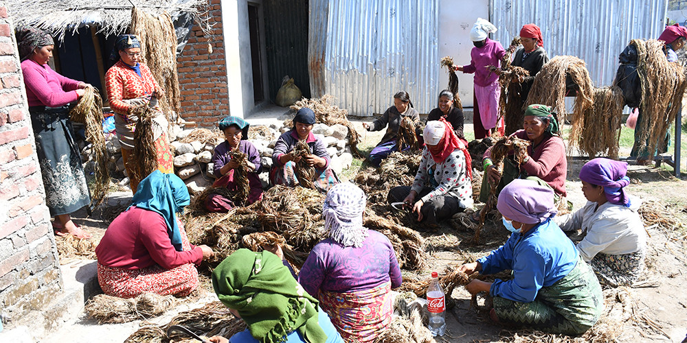 मानव विकास सूचकाङ्कमा नेपाल एक सय ४६औँ स्थानमा